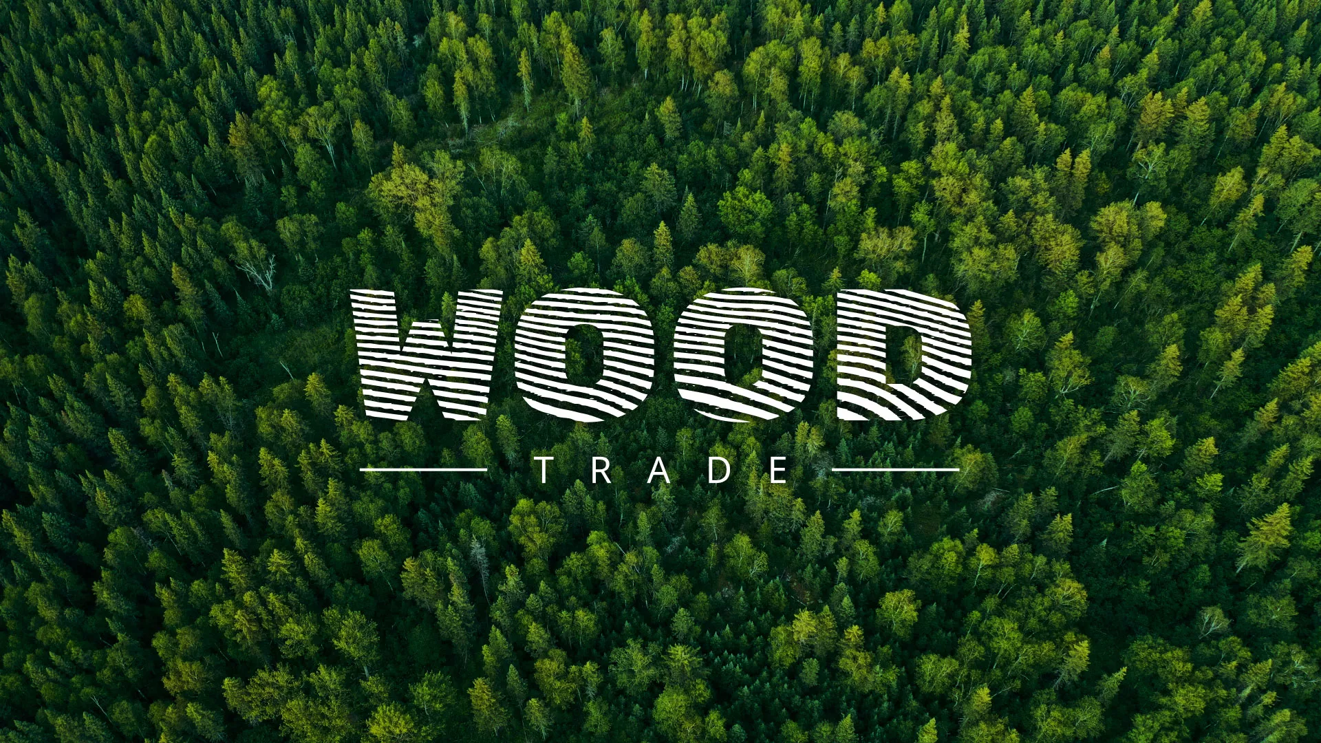 Разработка интернет-магазина компании «Wood Trade» в Володарске